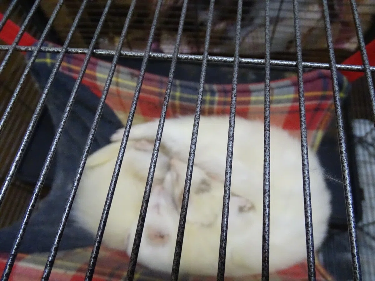 画像32