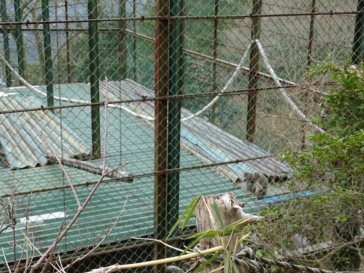 画像33