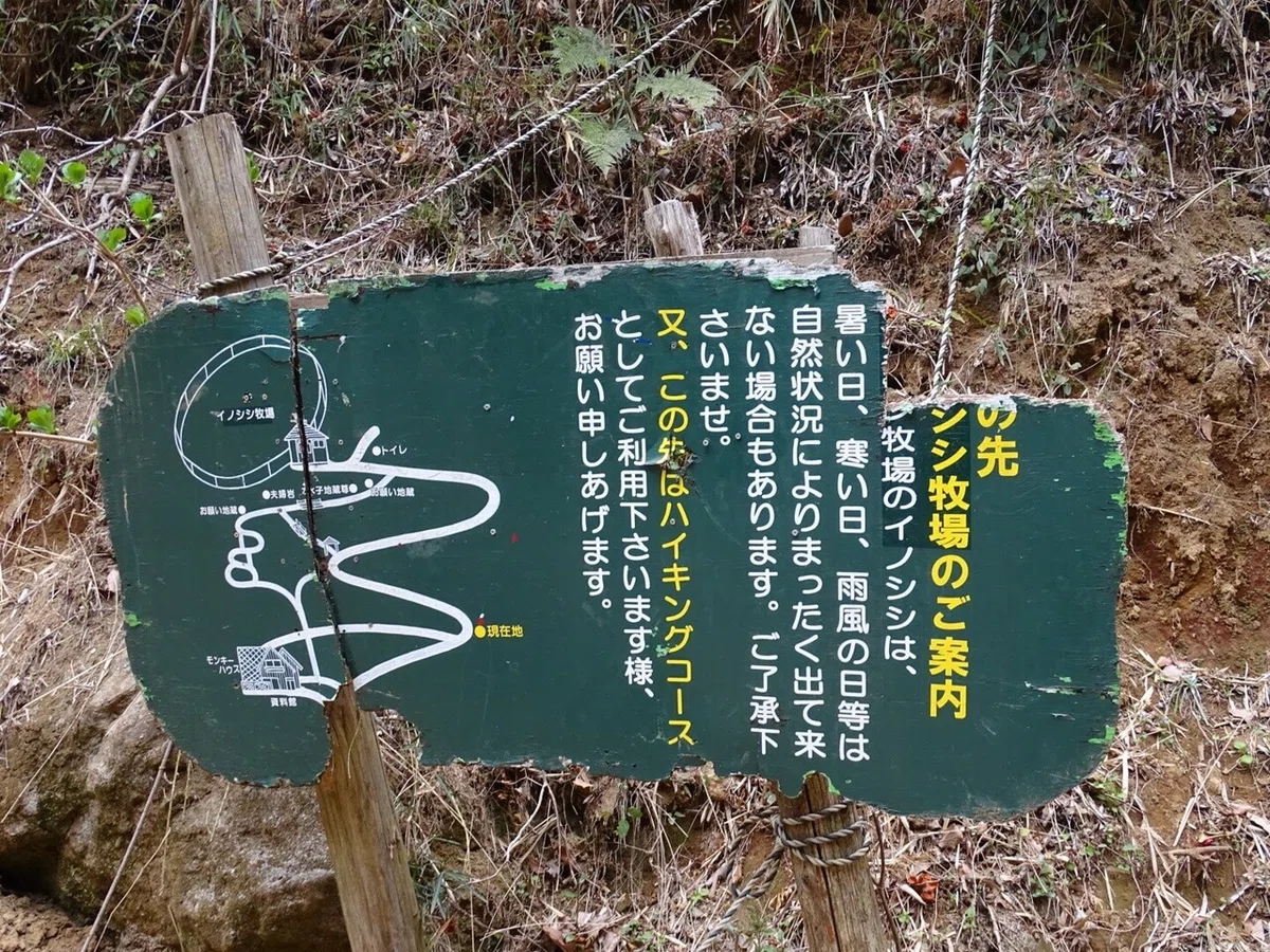 画像35