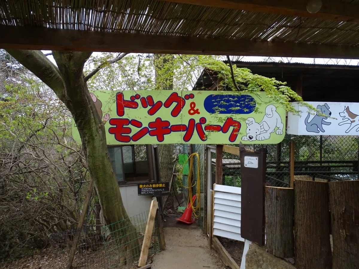 画像36