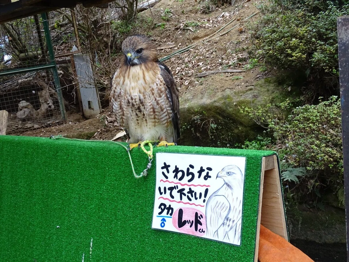 画像44
