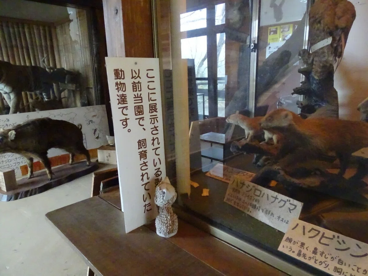 画像60