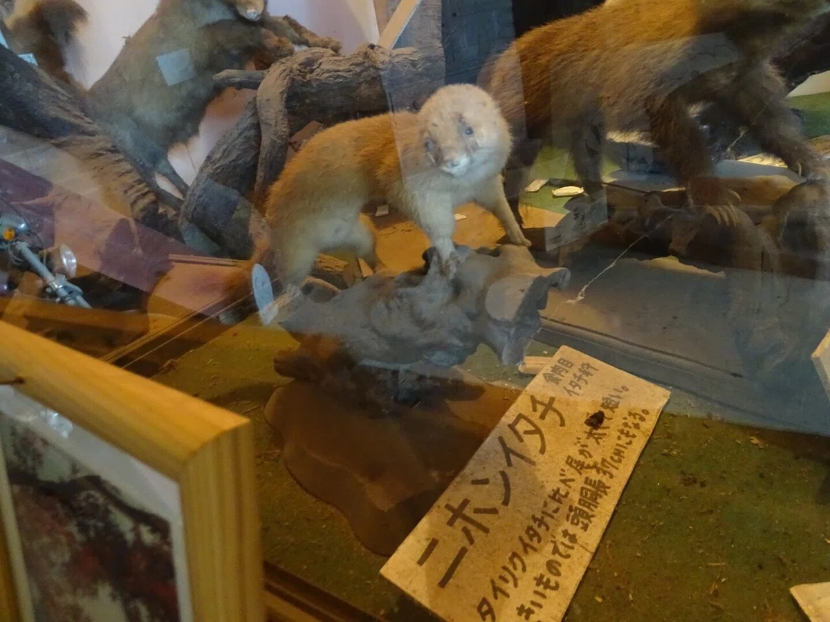 画像58