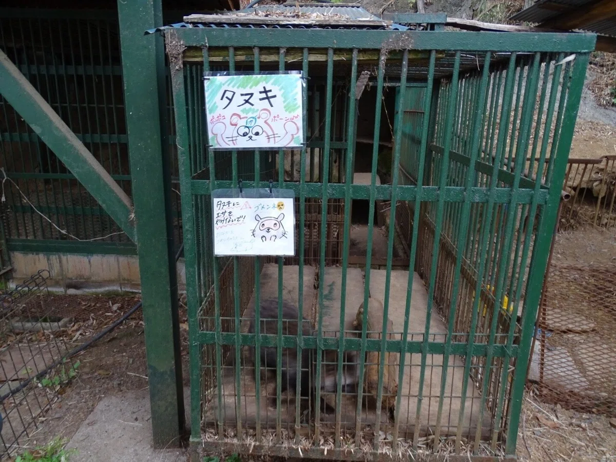 画像65