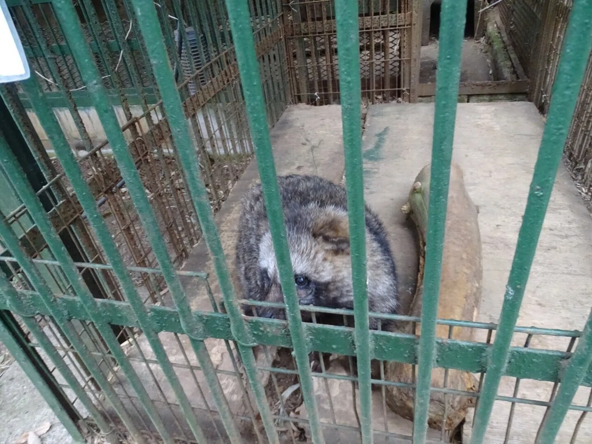 画像67