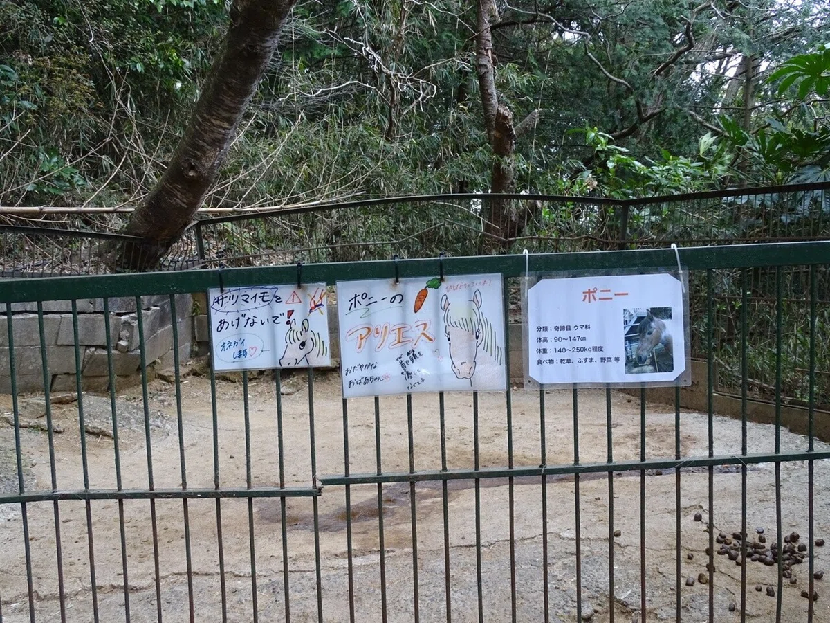 画像71