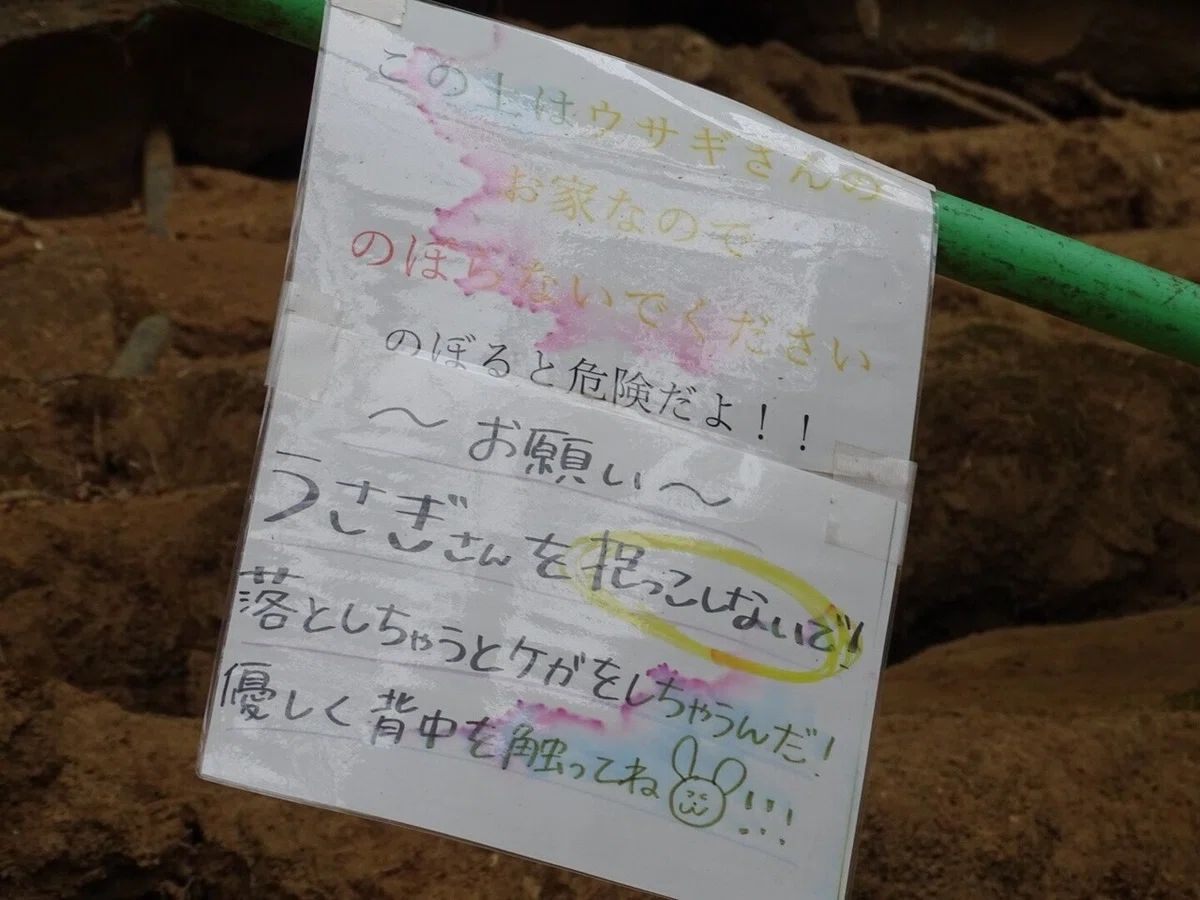 画像79