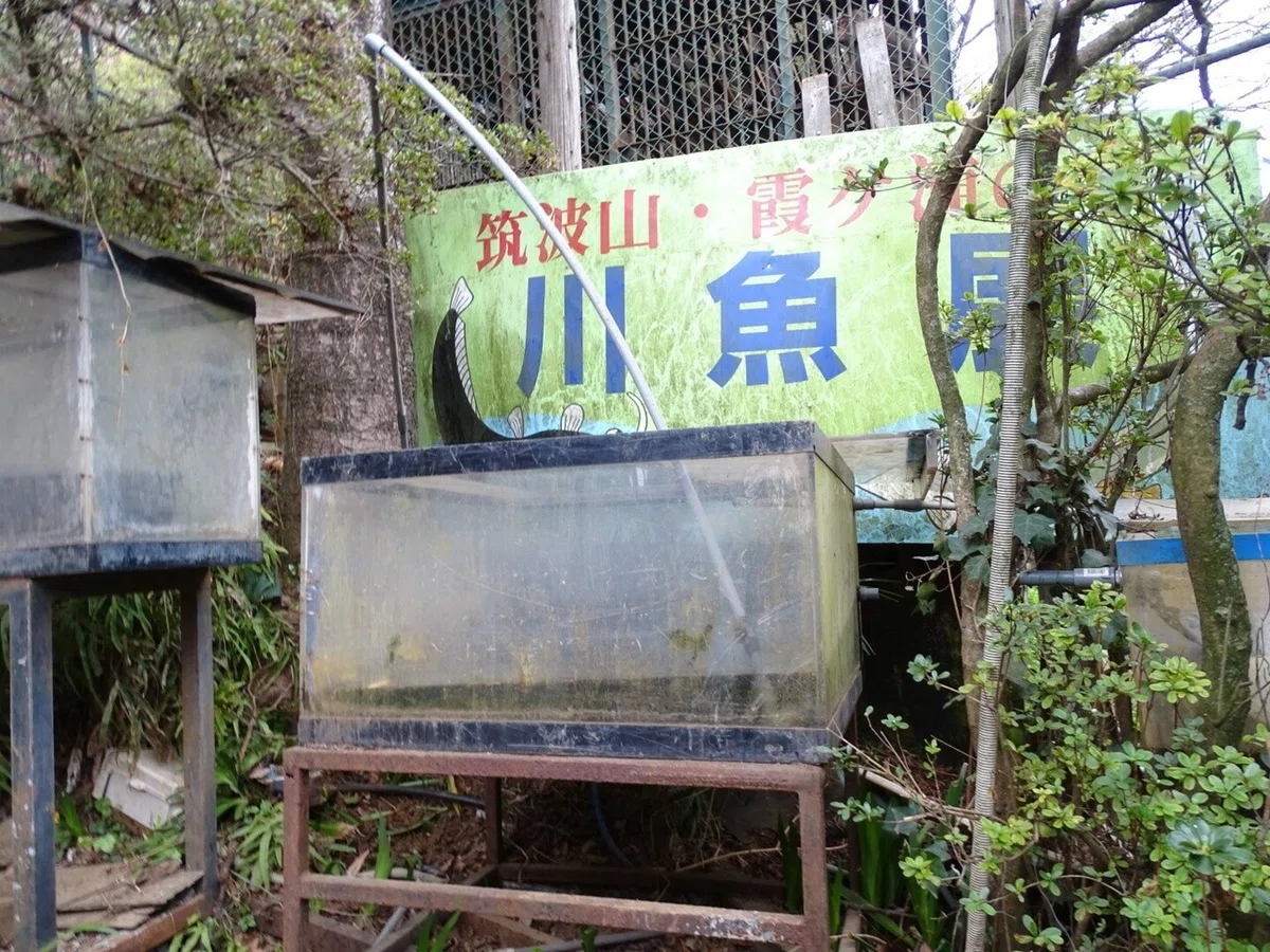 画像86