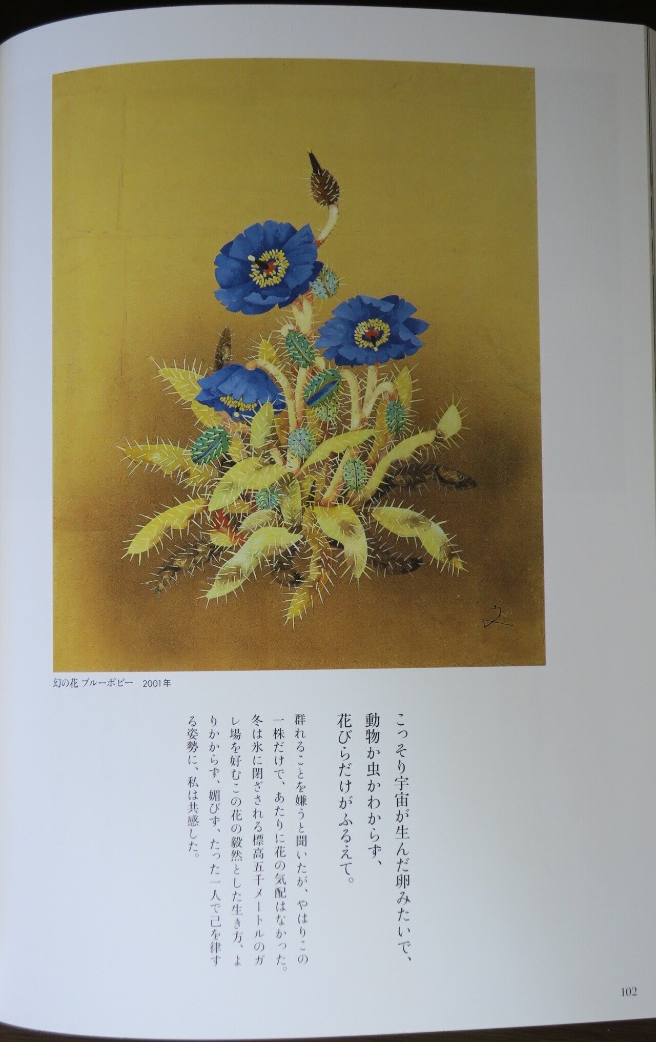絵画 堀文子 「 幻の花 ブルーポピー 」 美術品 一所不住 日本画家・堀文子 群れない 慣れない 頼らない /幻の花