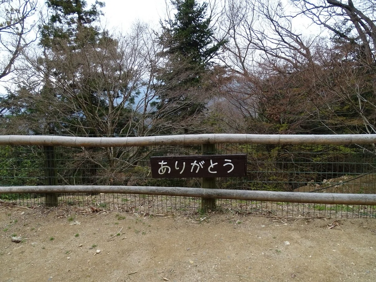 画像98