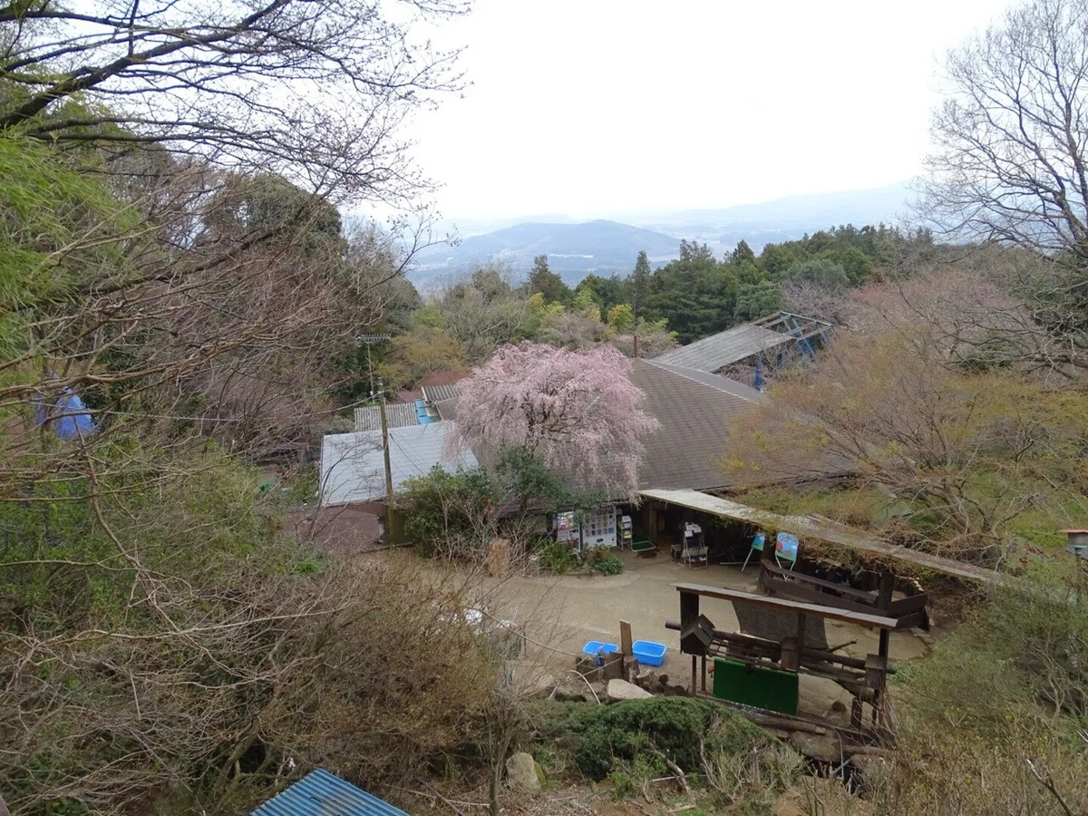 画像99