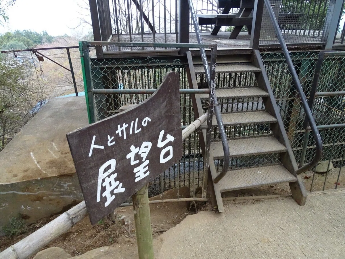 画像100