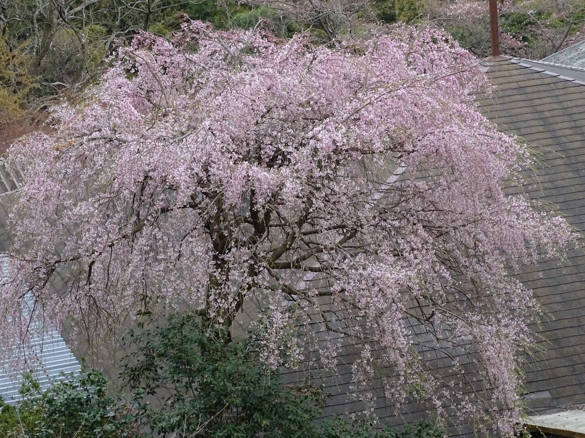画像102