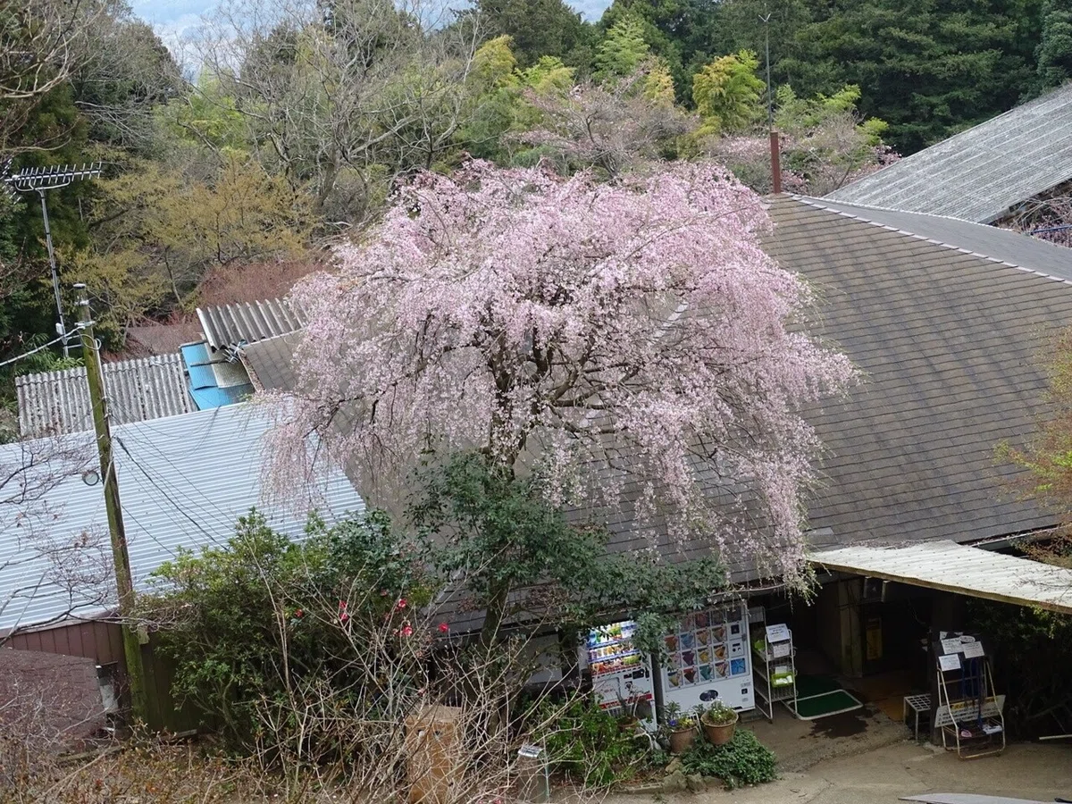 画像101