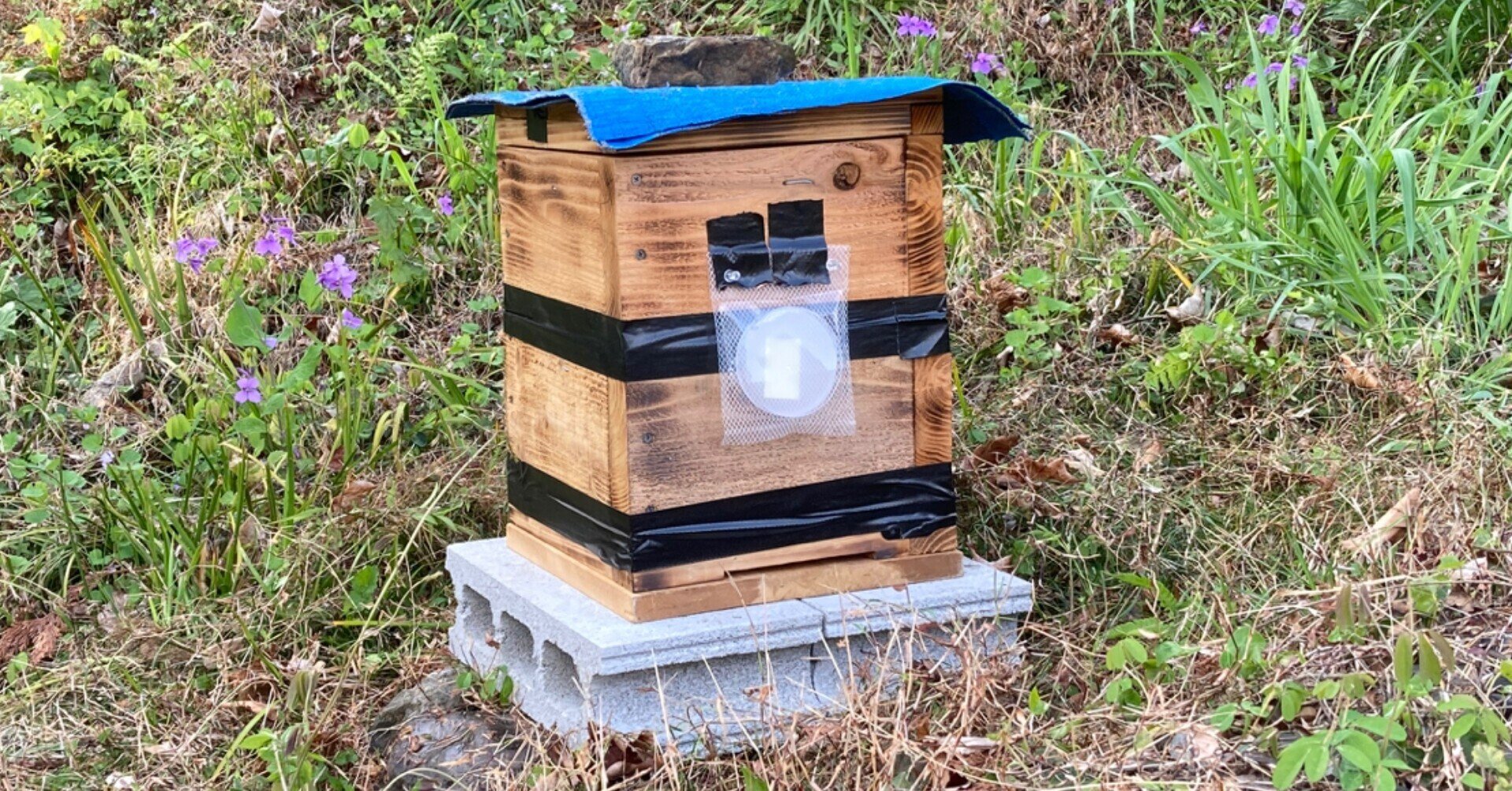 ニホンミツバチ　日本蜜蜂　焼杉　重箱式巣箱　待ち箱　養蜂