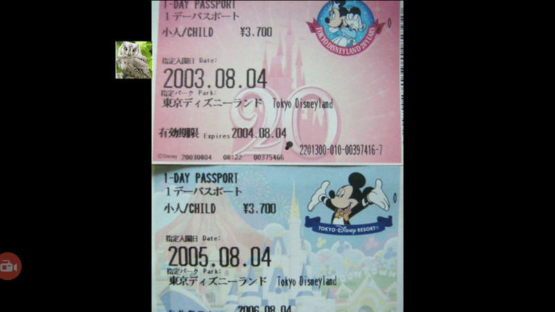 芸能 伊是名夏子 ２００３年にディズニーランドで特別な割引 なお障害者割引は２０２０年開始 リセマラ梟 Note