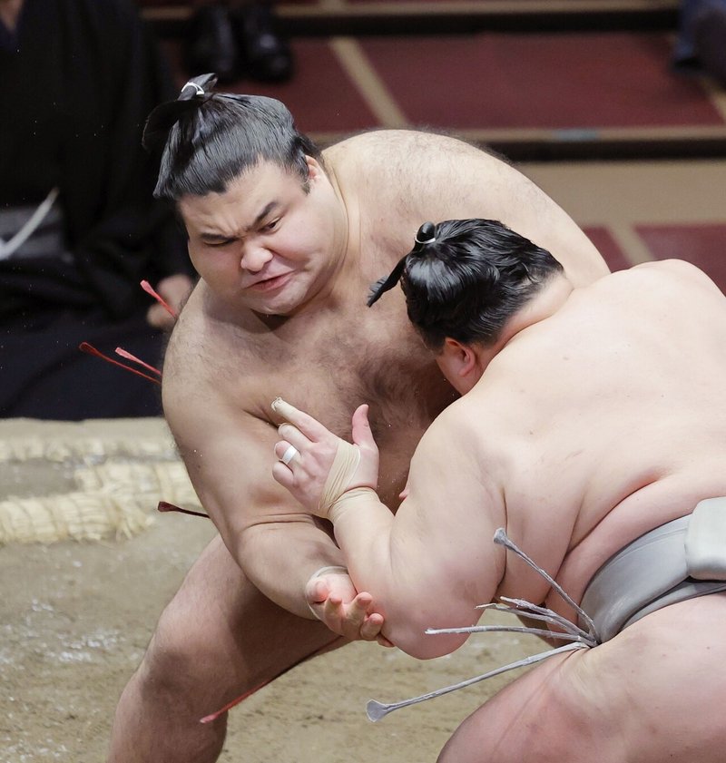 大相撲新風録 髙安 佐藤祥子 文藝春秋digital 大相撲新風録 髙安 佐藤祥子 文藝春秋digital