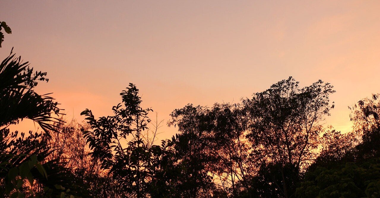 幸運の鳴き声 はまきち バンコク Note 幸運の鳴き声 はまきち バンコク Note