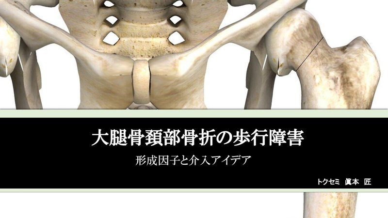 大腿骨頚部骨折 セミナー_page-0001