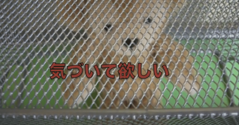 ぐっとくる歌詞 の新着タグ記事一覧 Note つくる つながる とどける ぐっとくる歌詞 の新着タグ記事一覧 Note つくる つながる とどける