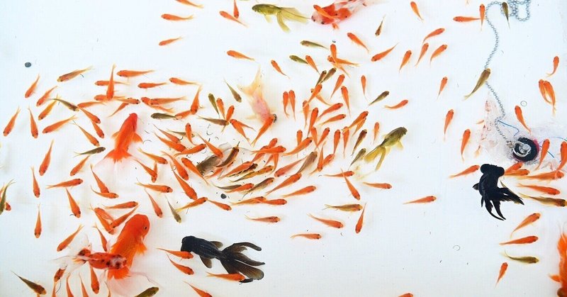 金魚すくい の新着タグ記事一覧 Note つくる つながる とどける