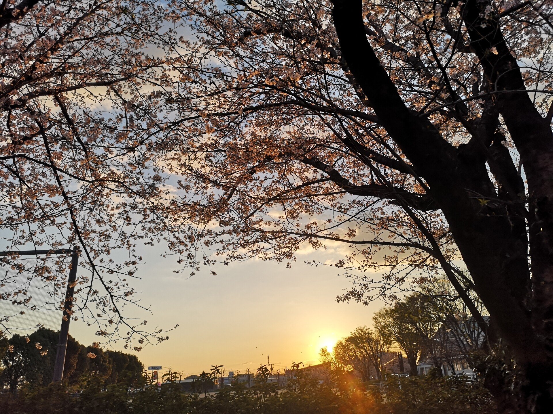 まぁるい世界 Respiration Atomo Create Aya Note