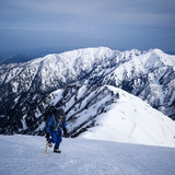 慎悟SHINGOсинго신고