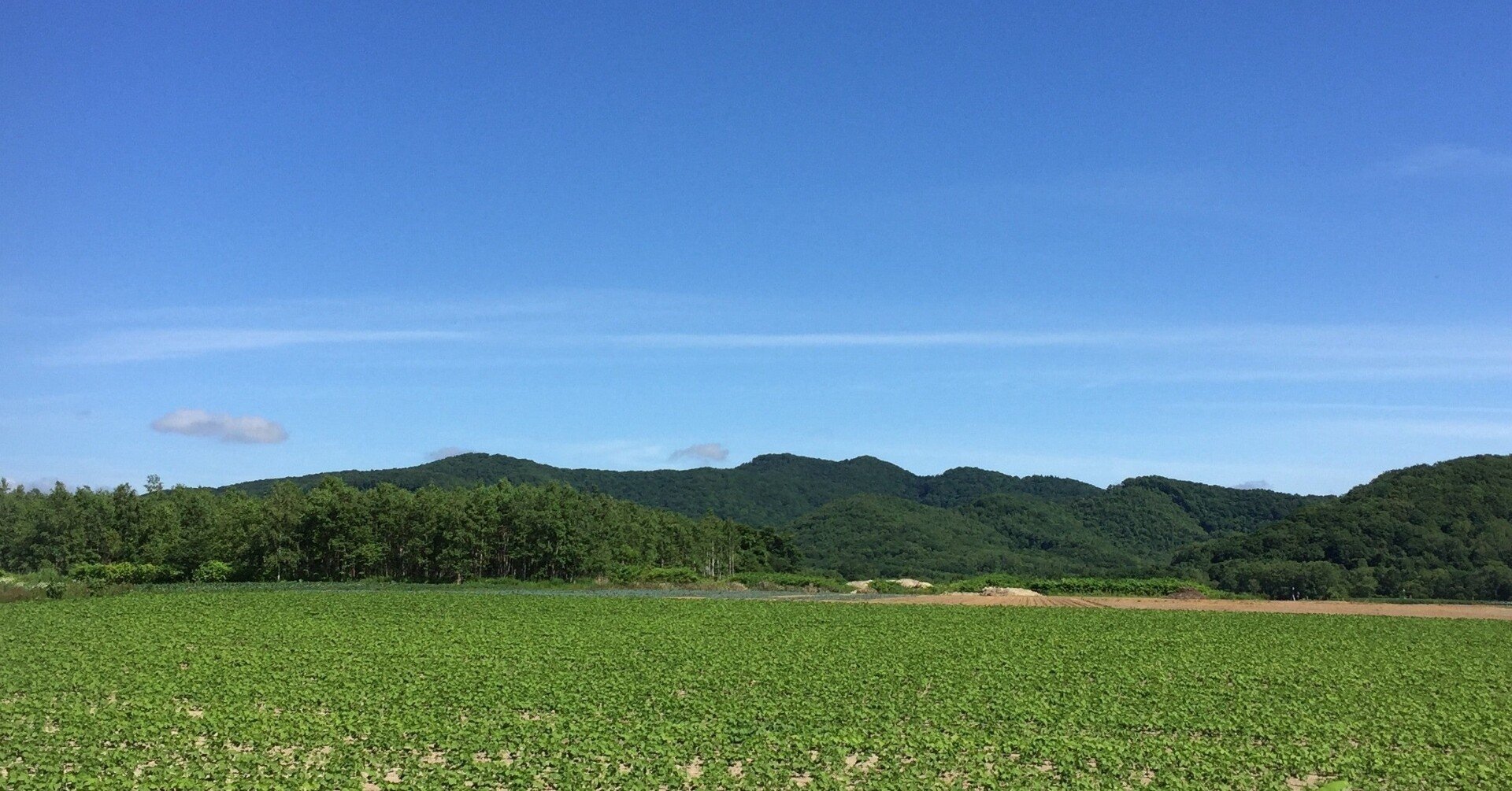 広野を行く ドラクエ1 楽曲解析 ドラゴンクエスト楽曲分析 Note