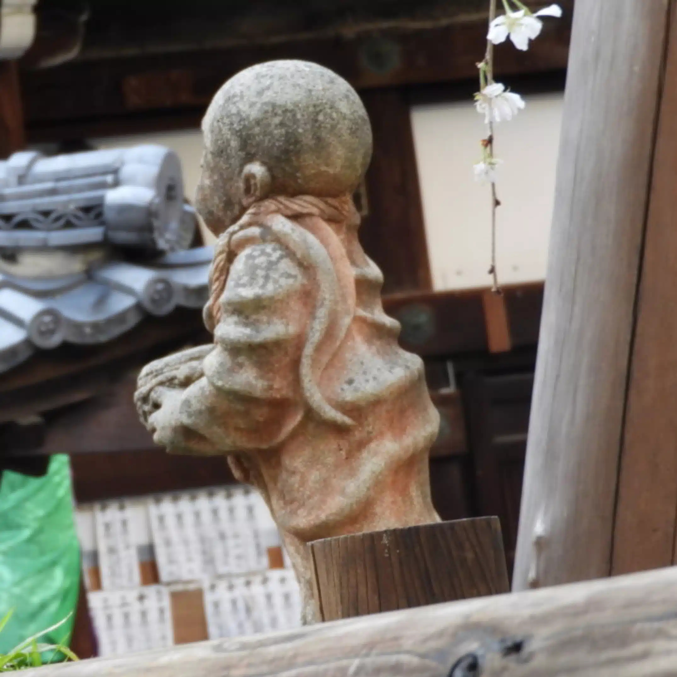 夏來