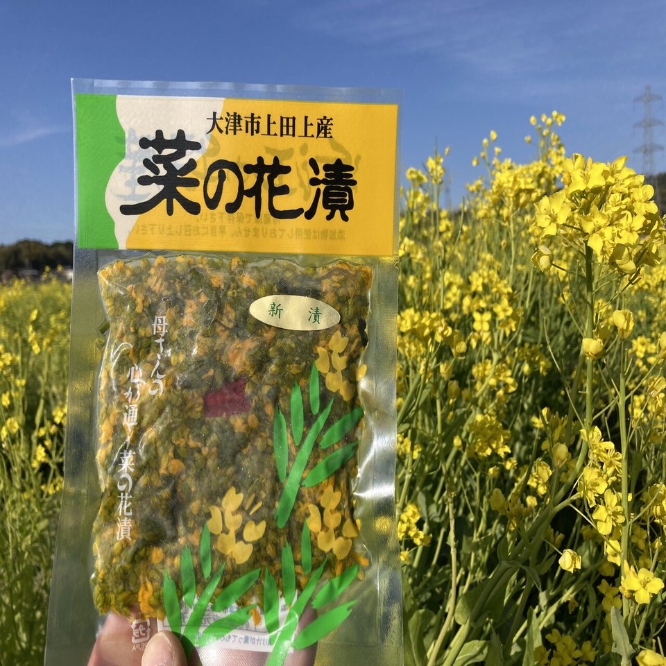 菜の花黄金漬け 滋賀 上田上に伝わる発酵 その２ 池島幸太郎 ハッピー太郎醸造所 Note