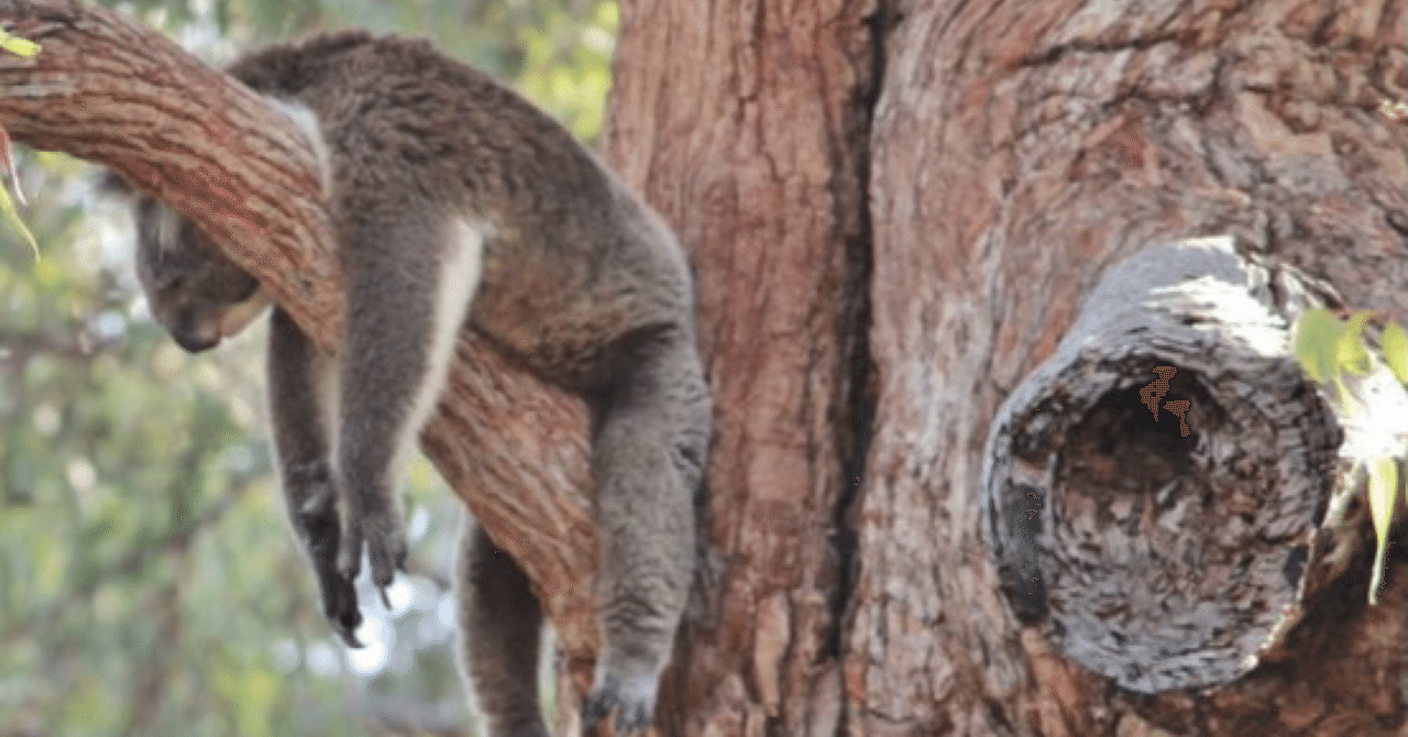 嘘のような本当の話 6 ノリノリ Note