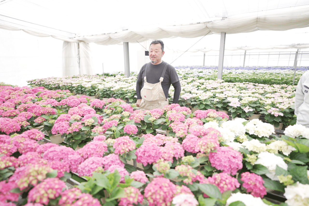 七山農家さんfile Vol 1 富岡和彦さん 富岡園芸 野田早百理 唐津市七山地域おこし協力隊 Note