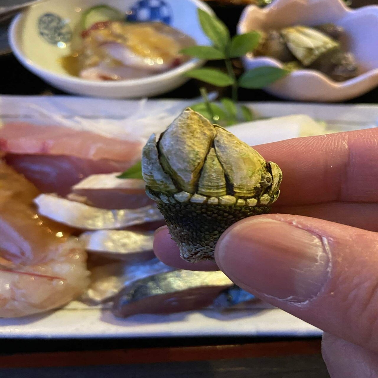 独特の予約おむすび文化が発達 屋久島登山おにぎり 弁当事情まとめ ハスつか Note