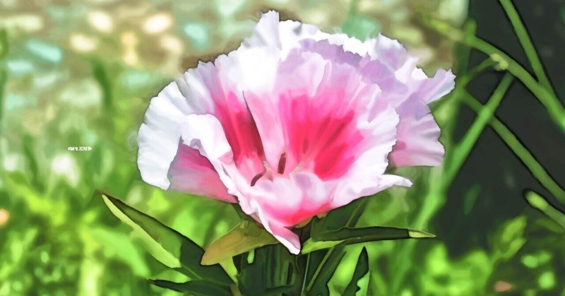 4月15日 誕生花は色待宵草 誕生花短歌 御子柴 流歌 Note