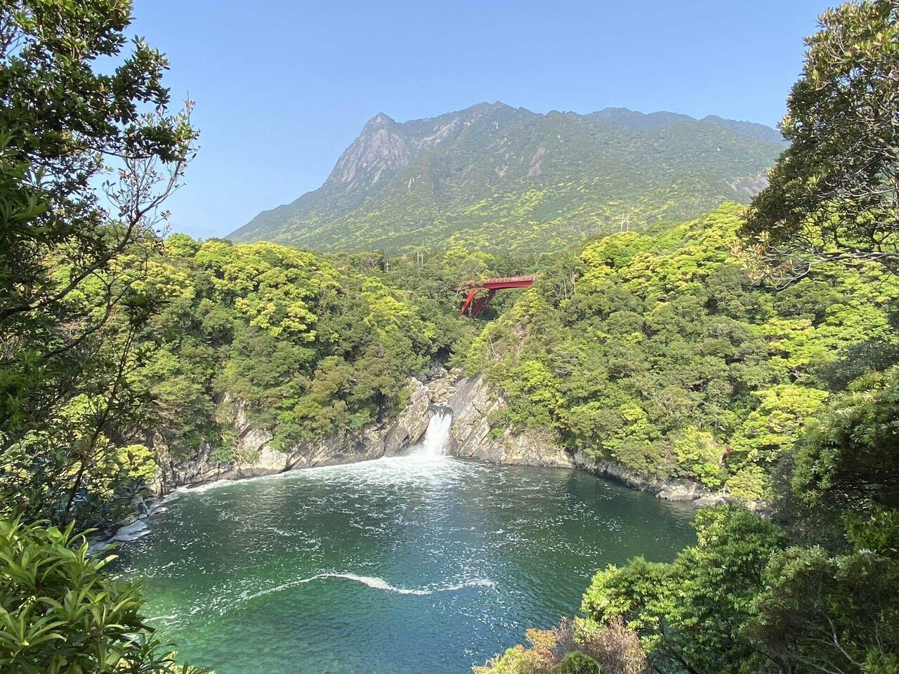 独特の予約おむすび文化が発達 屋久島登山おにぎり 弁当事情まとめ ハスつか Note