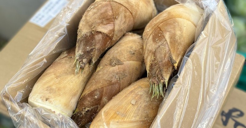 野菜の値段はこんなに変わる 春のたけのこ相場の舞台裏 美食倶楽部 Note