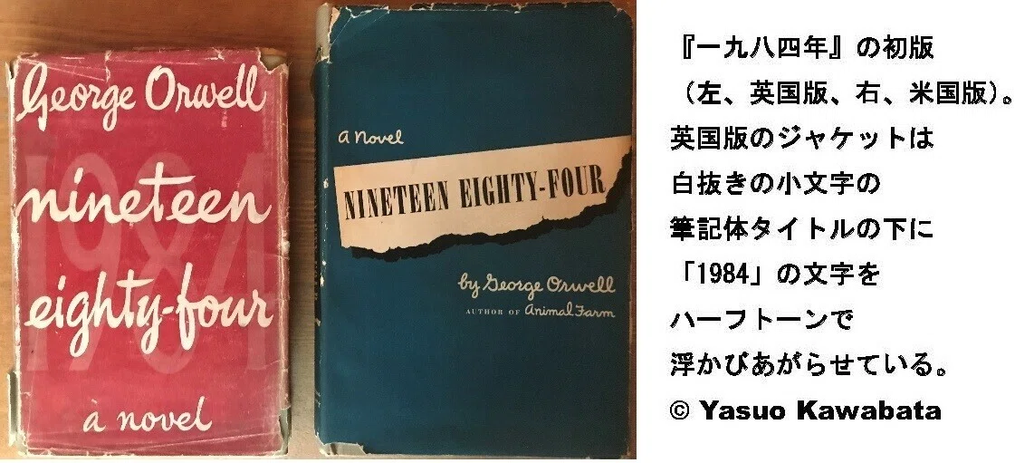 図版1
