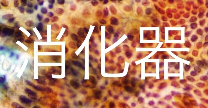 消化器 年度第53回細胞検査士筆記試験 Hiro3 Note 消化器 年度第53回細胞検査士筆記試験 Hiro3 Note
