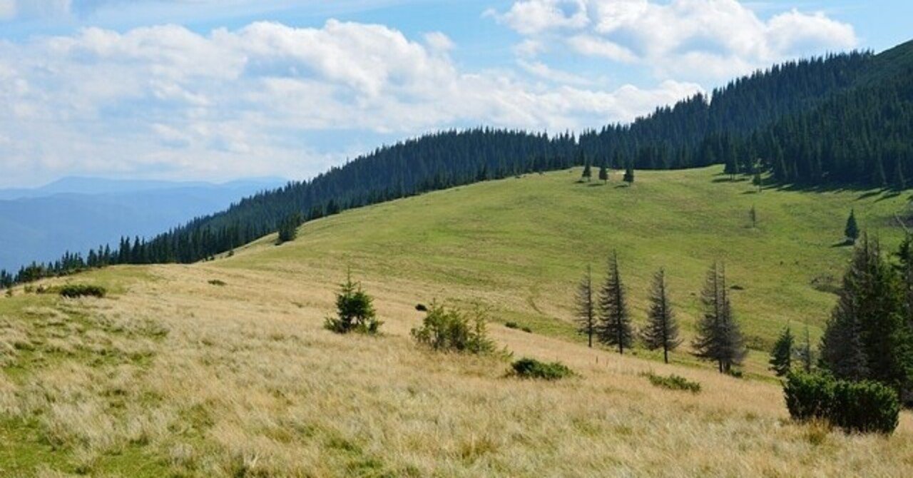 世界遺産 カルパチア山脈とヨーロッパ地域の古代及び原生ブナ林 世界旅行 Note 世界遺産 カルパチア山脈とヨーロッパ地域の古代及び原生ブナ林 世界旅行 Note