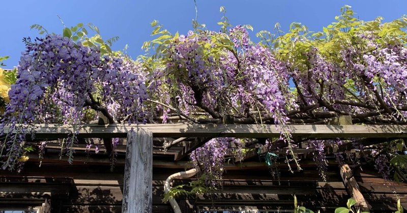 174 苦手な人 変な人に絡まれやすい時 山口香織 kaori yamaguchi note