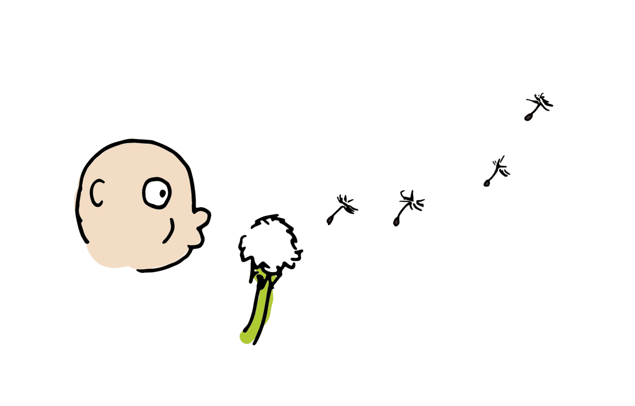 ハレの日 は 晴れの日 に 意外と自由度が高いツクシとタンポポの話 浜松科学館 みらいーら ハレの日 は 晴れの日 に 意外と自由度が高いツクシとタンポポの話 浜松科学館 みらいーら