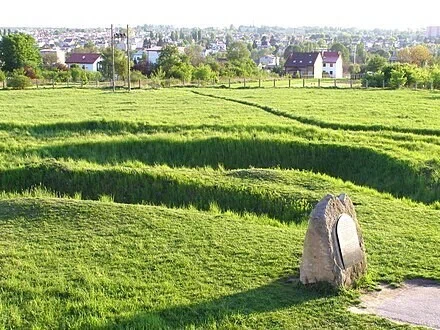 画像13