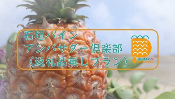 石垣パイン　アンバサダー俱楽部（返礼品無しプラン）