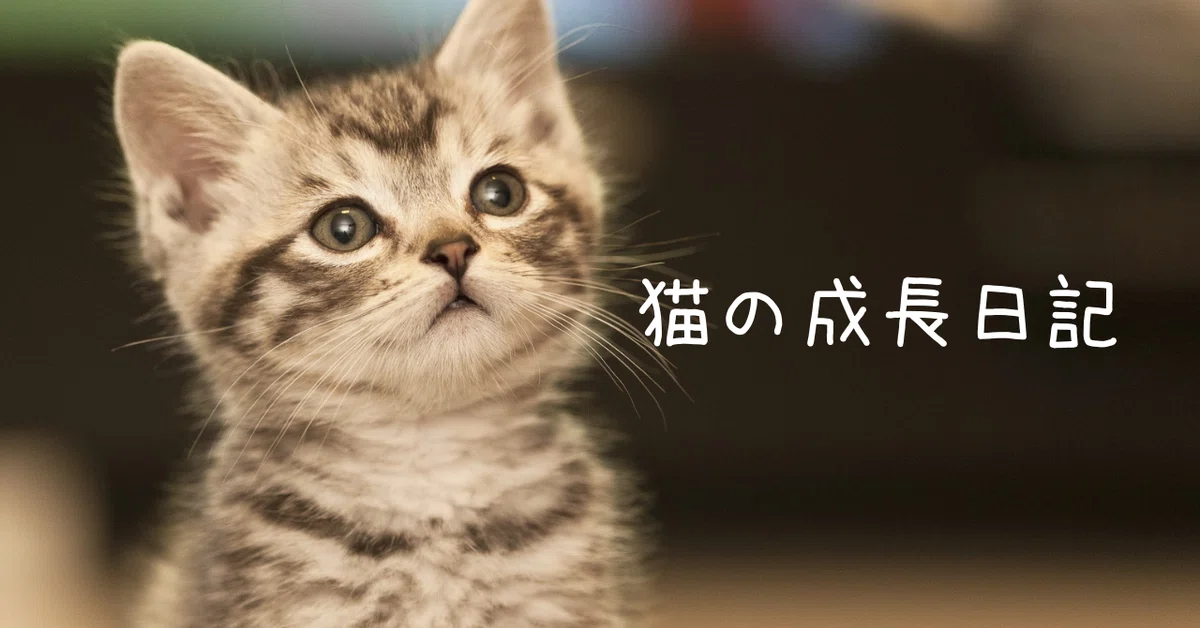 名称未設定のデザイン (7)