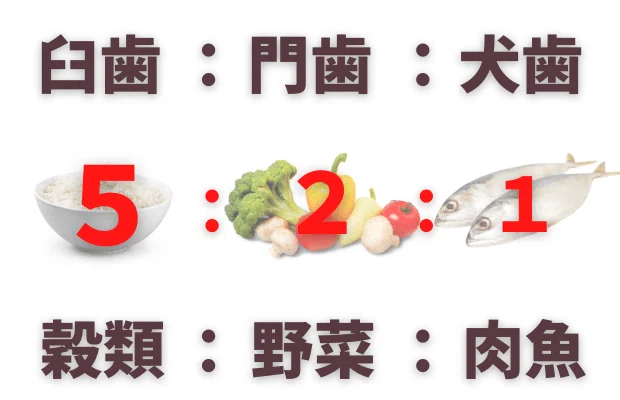 note文中写真 (10)