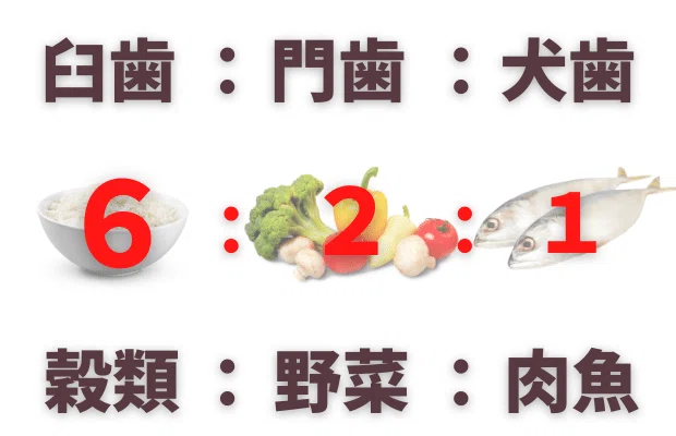 note文中写真 (11)