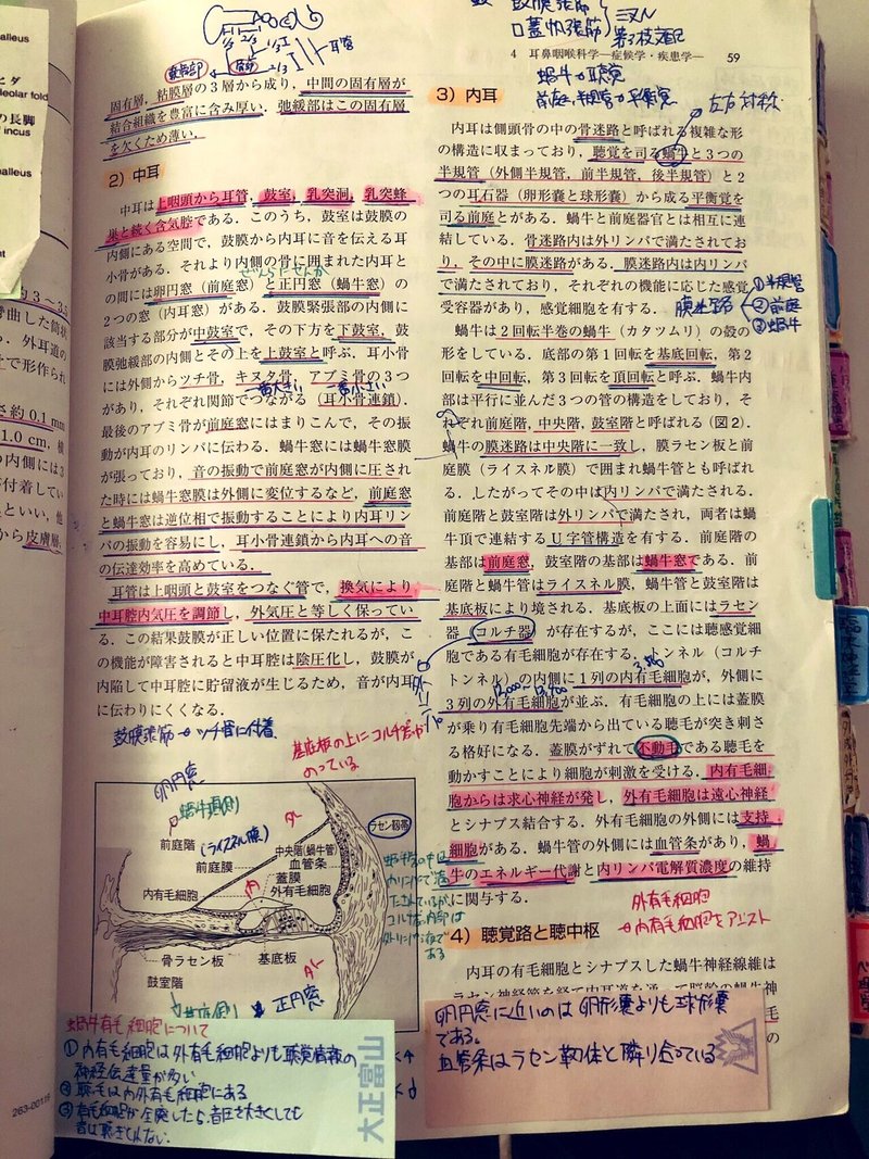 言語聴覚士国家試験勉強法 どんな風に勉強していた ヒルムー 言語聴覚士 Note 言語聴覚士国家試験勉強法 どんな風に勉強していた ヒルムー 言語聴覚士 Note