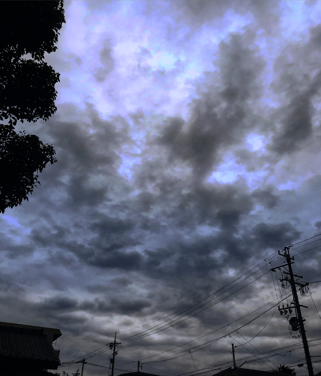 曇り空 みんなでつくる春アルバム 豆象屋 Note