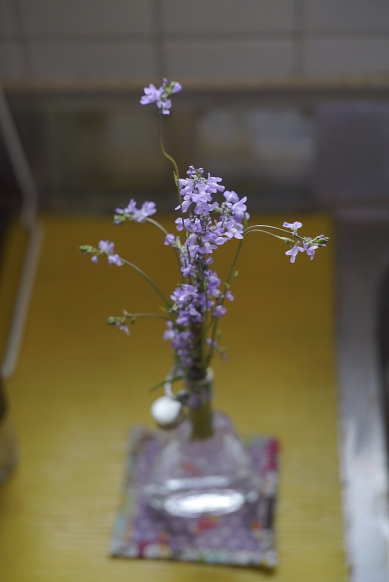 雑草 よもぎの背のび Note