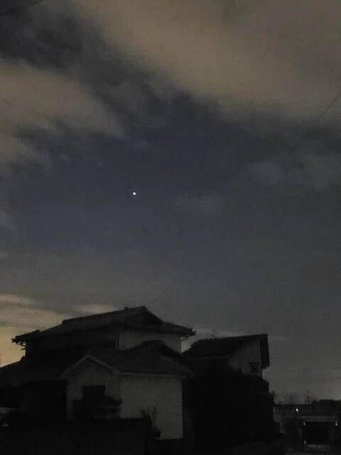 画像7
